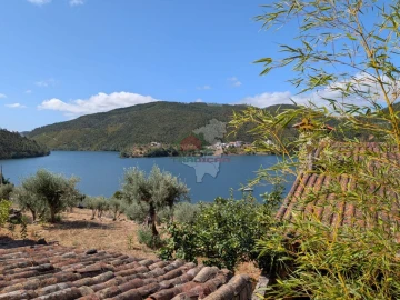 Moradia T3 para Arrendamento em Cernache do Bonjardim, Nesperal e Palhais