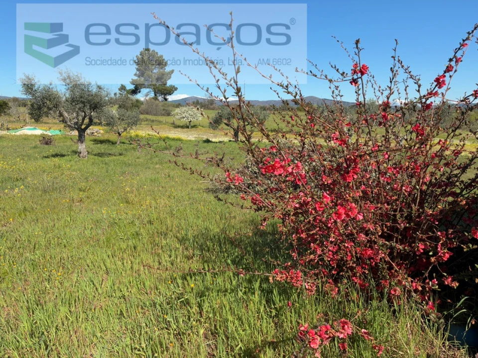 Terreno para Venda em Orca Foto 23