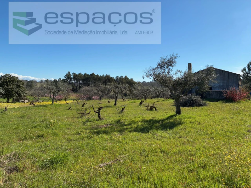 Terreno para Venda em Orca Foto 24