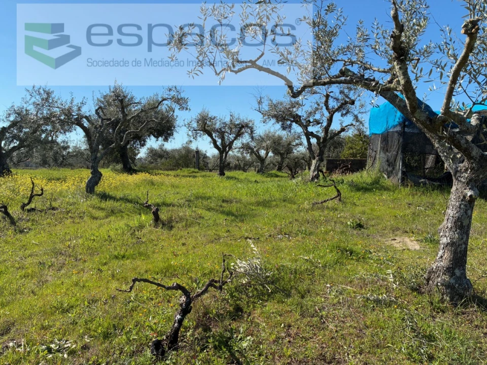 Terreno para Venda em Orca Foto 25