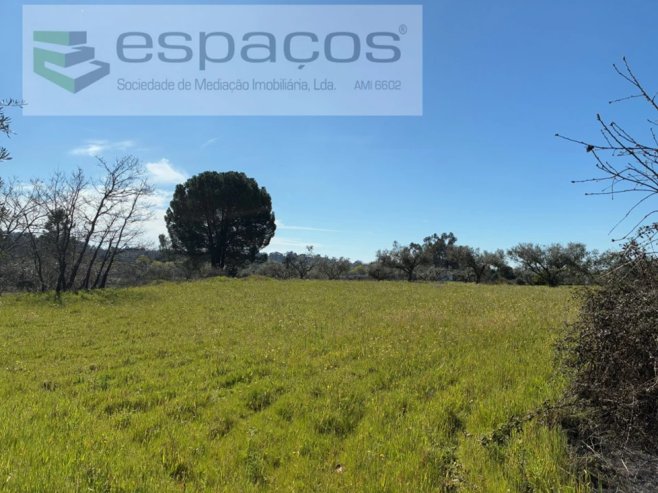 Terreno para Venda em Orca Foto 26