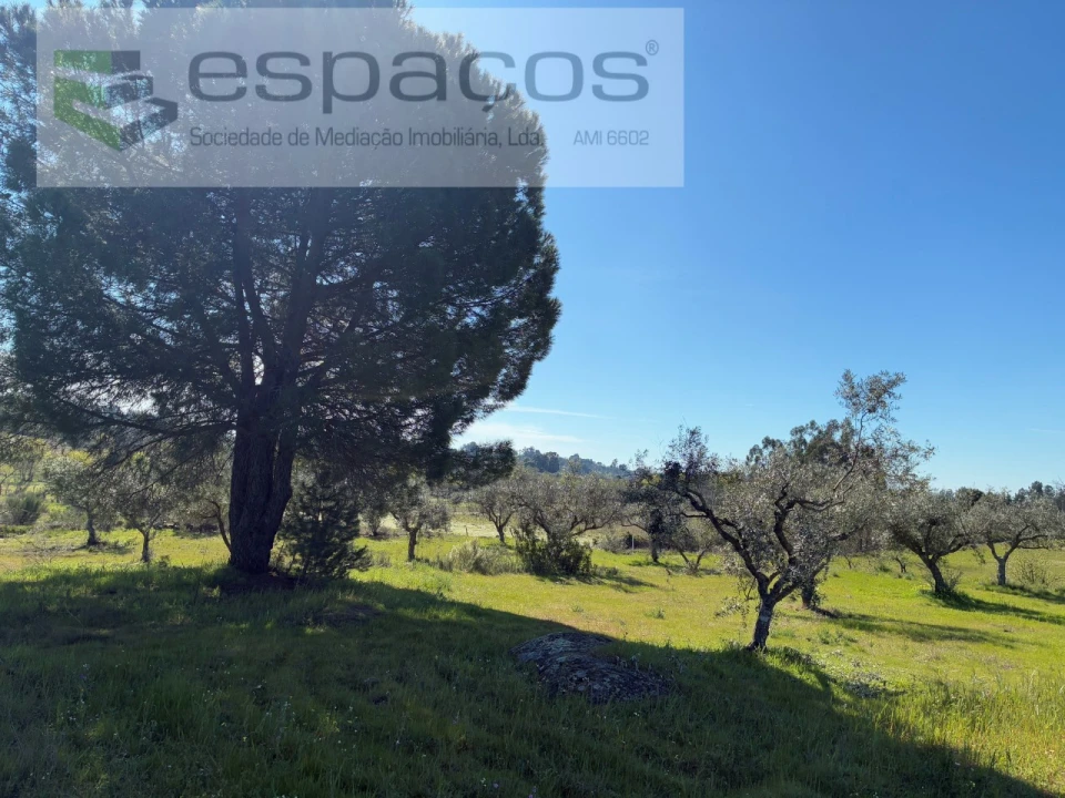 Terreno para Venda em Orca Foto 27