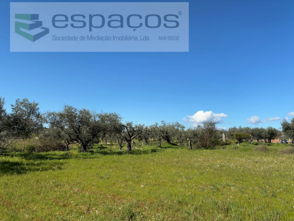 Terreno para Venda em Orca Foto 28