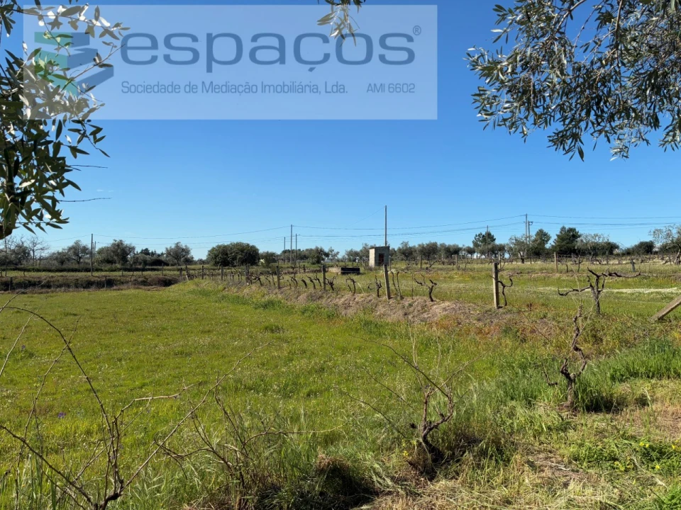 Terreno para Venda em Orca Foto 33