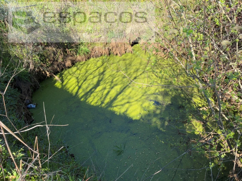 Terreno para Venda em Orca Foto 4