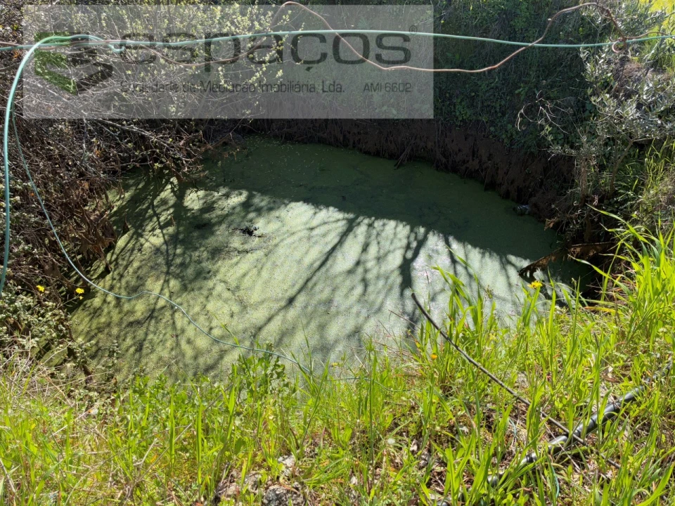 Terreno para Venda em Orca Foto 5