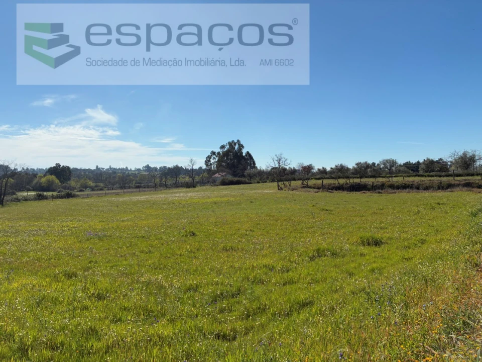 Terreno para Venda em Orca Foto 34