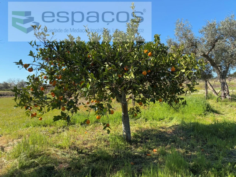 Terreno para Venda em Orca Foto 35