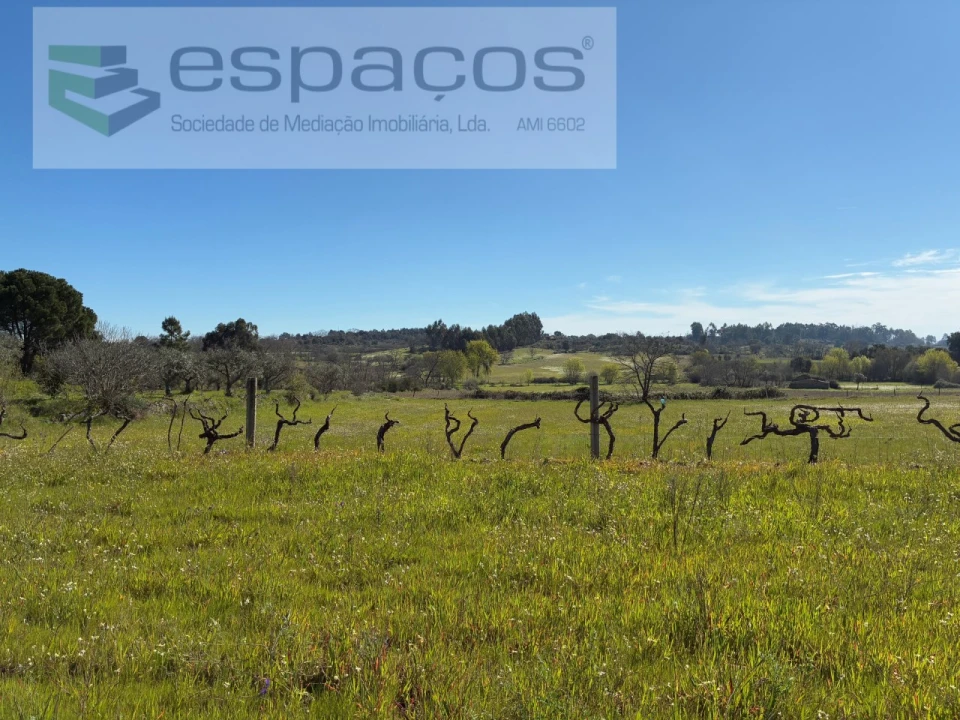 Terreno para Venda em Orca Foto 37