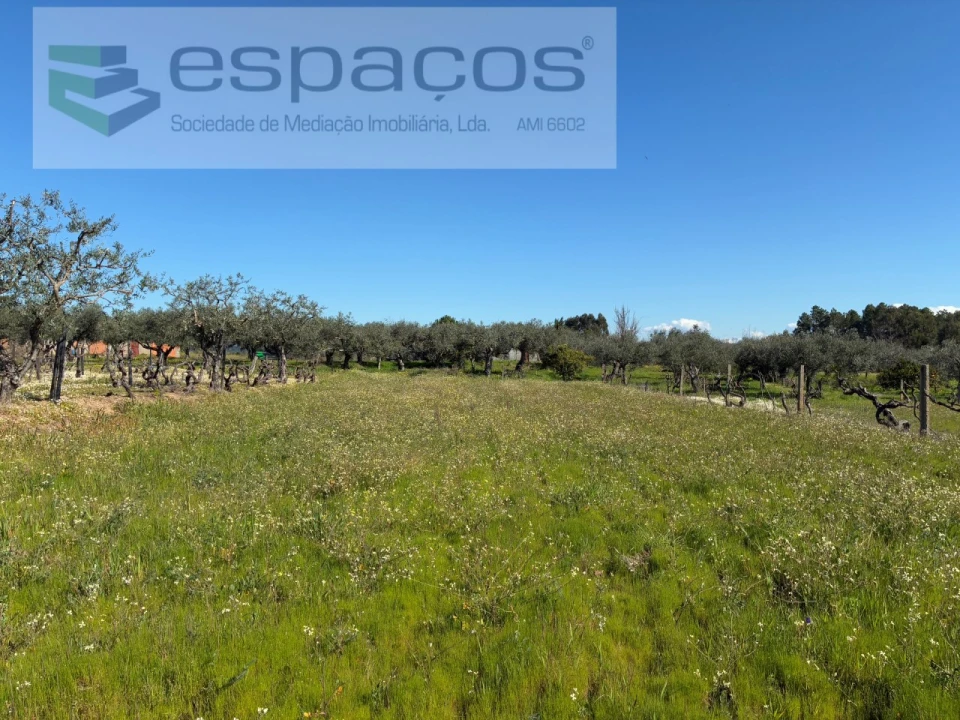 Terreno para Venda em Orca Foto 38
