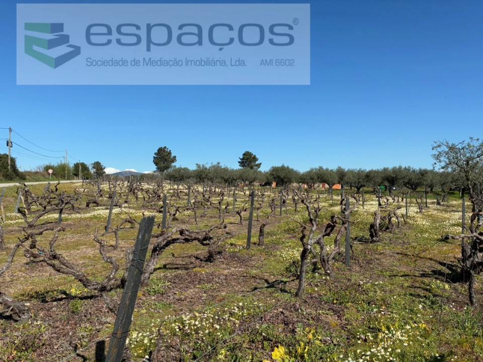 Terreno para Venda em Orca Foto 40