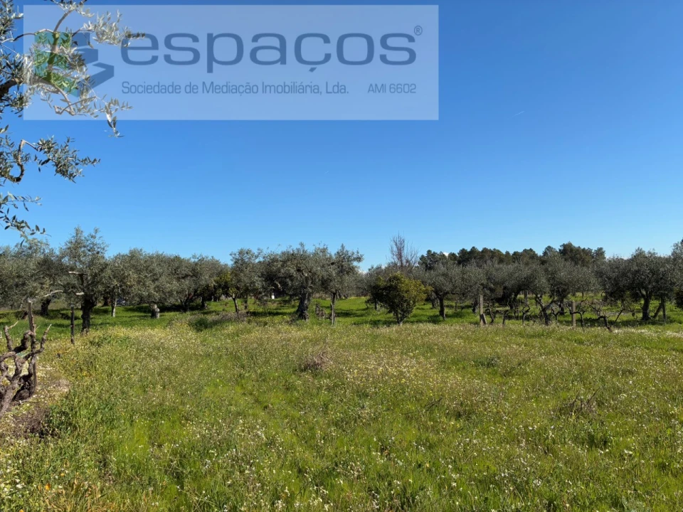 Terreno para Venda em Orca Foto 42