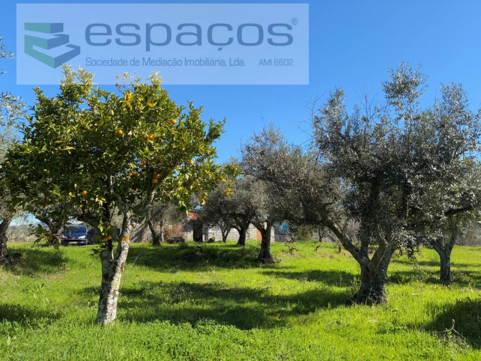 Terreno para Venda em Orca Foto 44