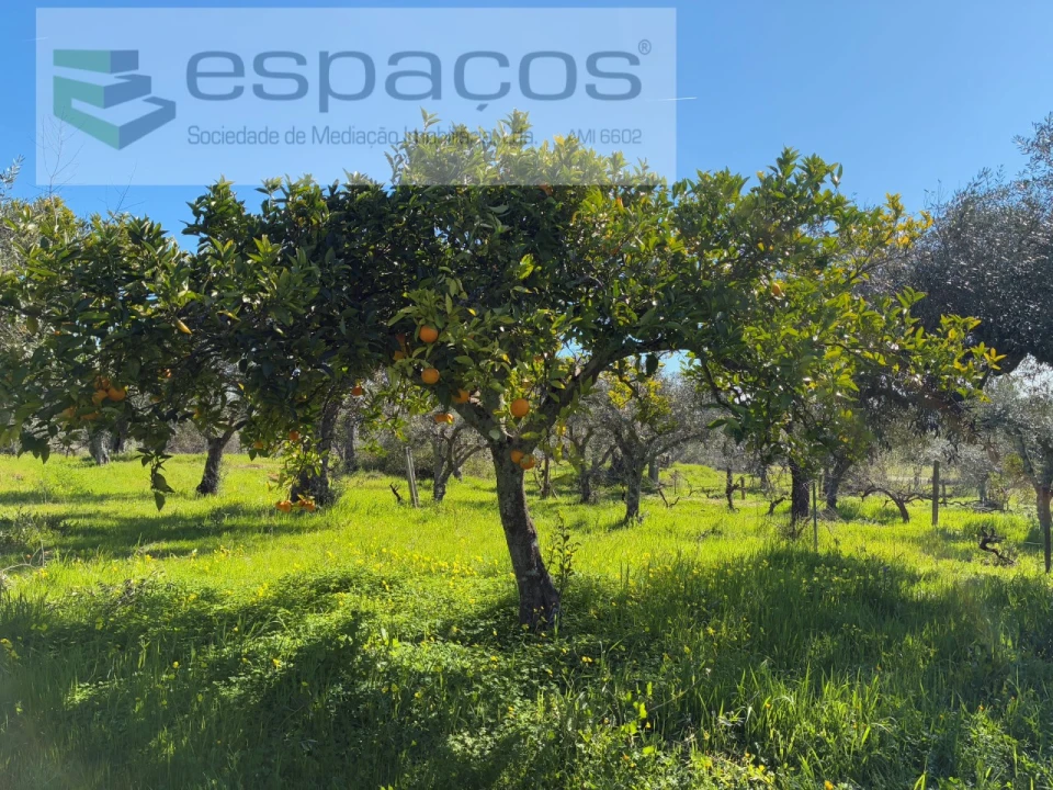 Terreno para Venda em Orca Foto 45