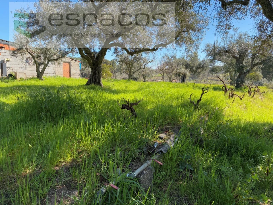 Terreno para Venda em Orca Foto 22
