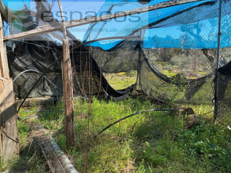 Terreno para Venda em Orca Foto 20