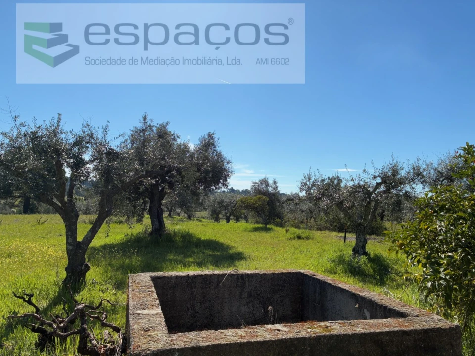 Terreno para Venda em Orca Foto 21