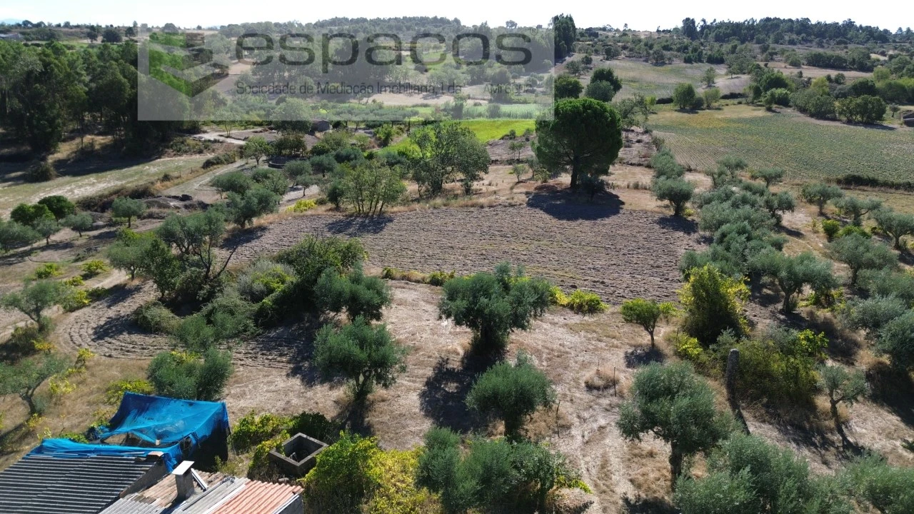 Terreno para Venda em Orca Foto 29
