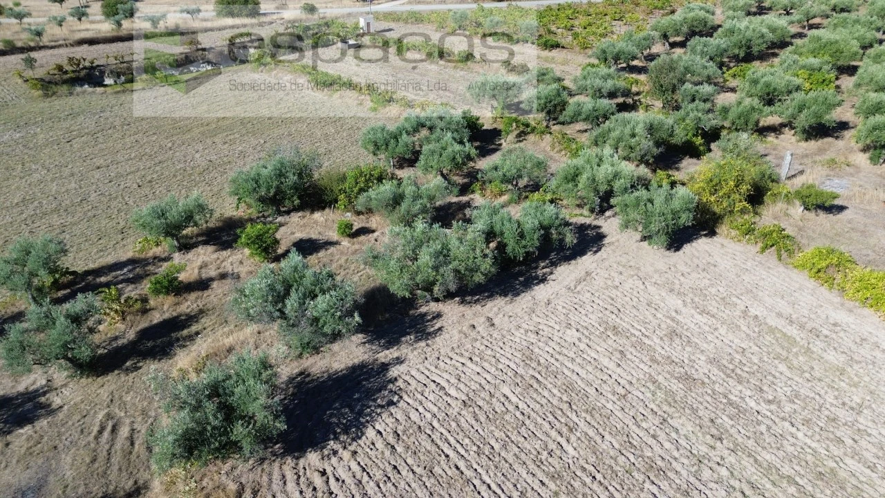 Terreno para Venda em Orca Foto 53
