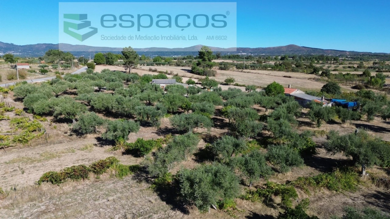 Terreno para Venda em Orca Foto 57