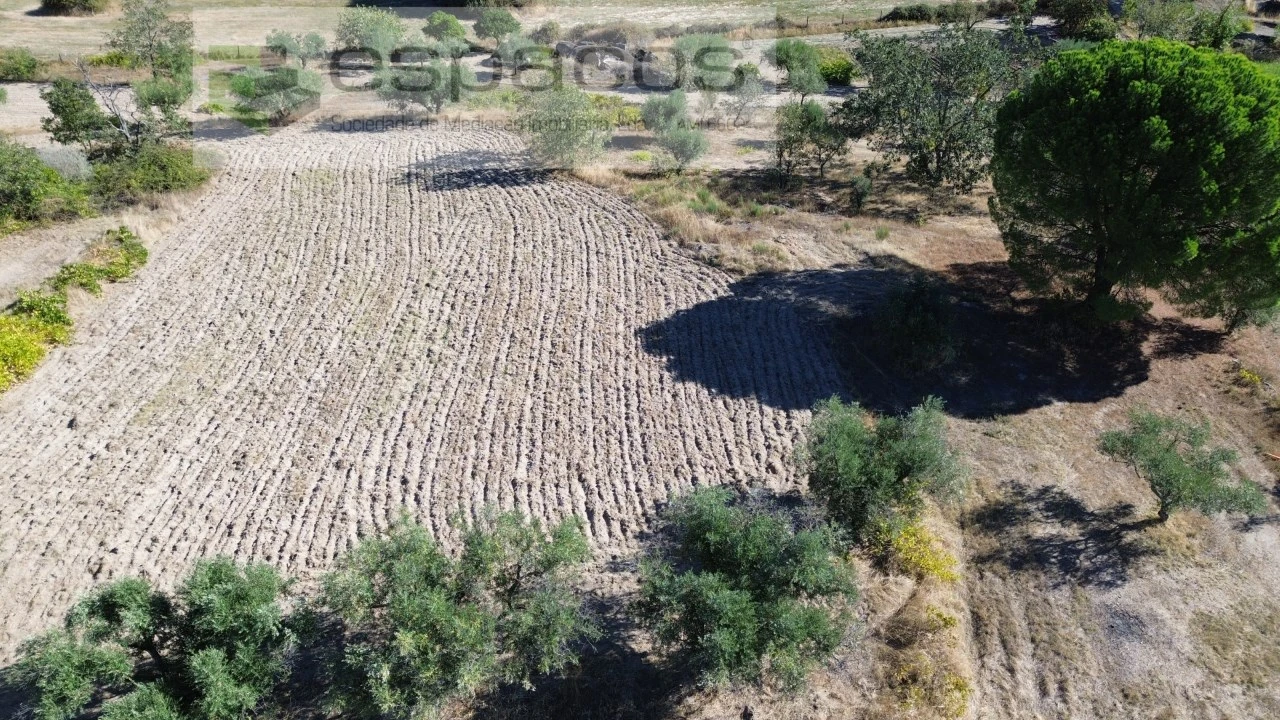 Terreno para Venda em Orca Foto 58