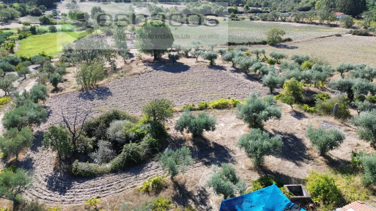 Terreno para Venda em Orca Foto 60