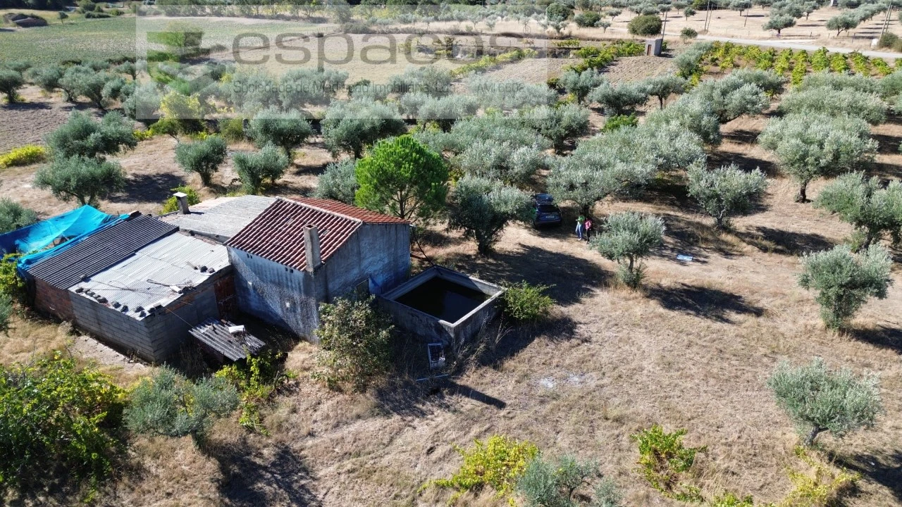 Terreno para Venda em Orca Foto 62