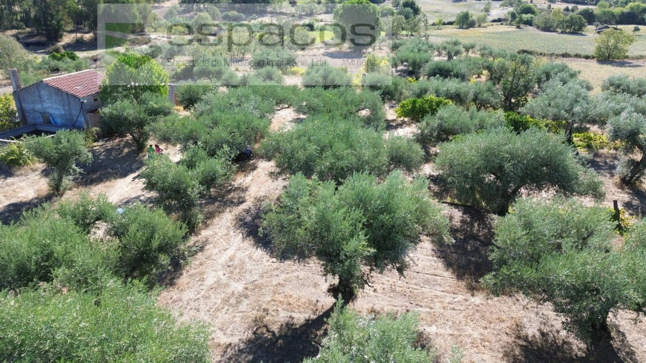 Terreno para Venda em Orca Foto 65