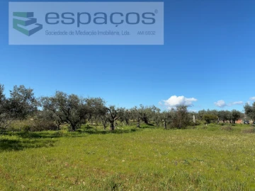 Terreno para Venda em Orca