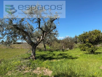 Terreno para Venda em Orca