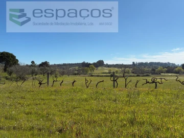 Terreno para Venda em Orca
