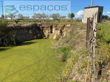 Terreno para Venda em Orca