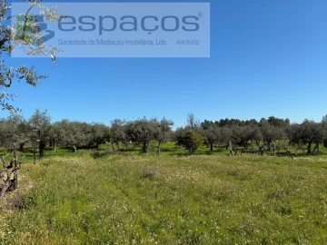 Terreno para Venda em Orca