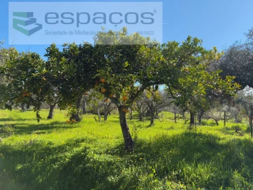 Terreno para Venda em Orca