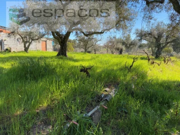 Terreno para Venda em Orca