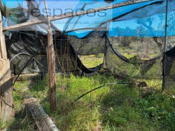 Terreno para Venda em Orca
