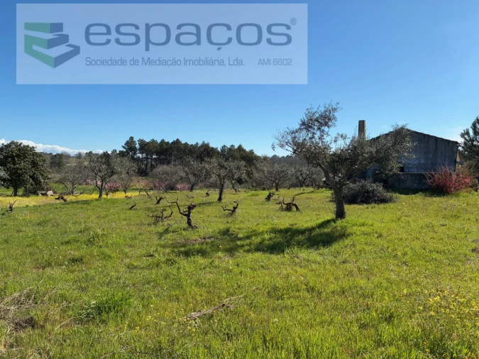 Terreno para Venda em Orca Foto 24