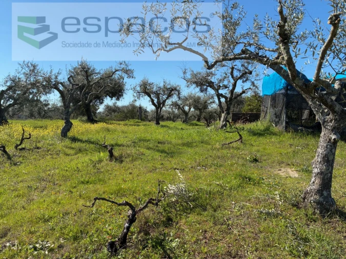 Terreno para Venda em Orca Foto 25