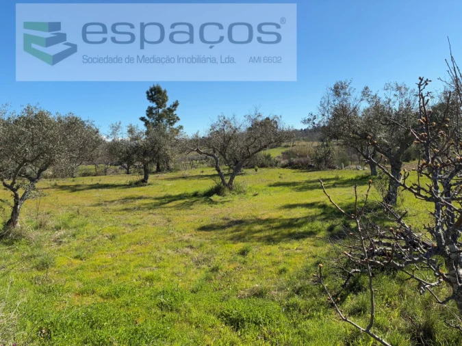 Terreno para Venda em Orca Foto 30