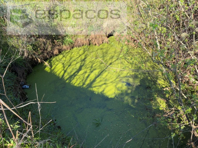 Terreno para Venda em Orca Foto 4