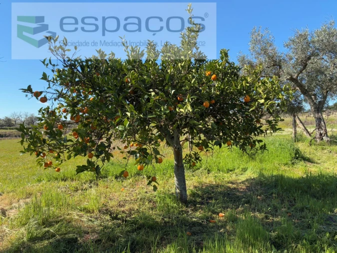 Terreno para Venda em Orca Foto 35