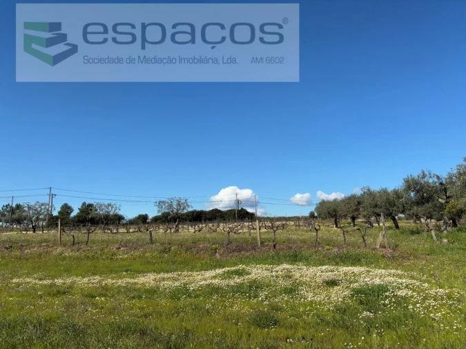 Terreno para Venda em Orca Foto 36