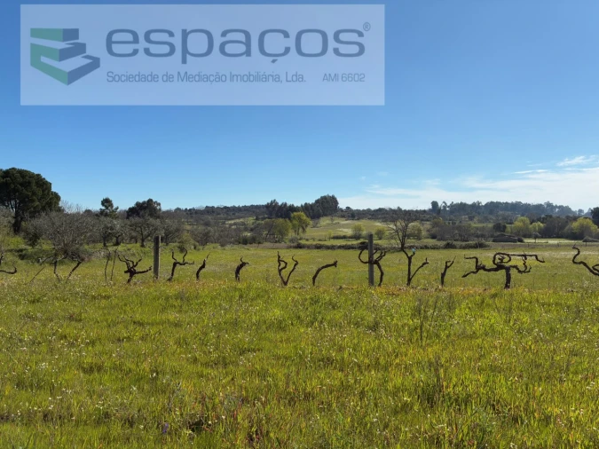 Terreno para Venda em Orca Foto 37