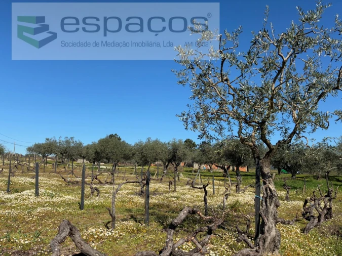 Terreno para Venda em Orca Foto 41