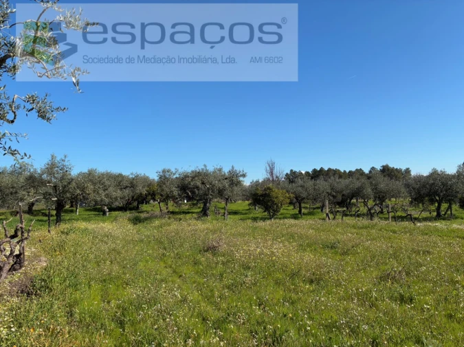 Terreno para Venda em Orca Foto 42