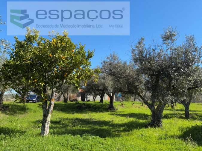 Terreno para Venda em Orca Foto 44