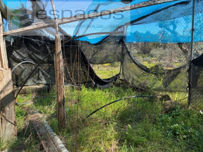 Terreno para Venda em Orca Foto 20