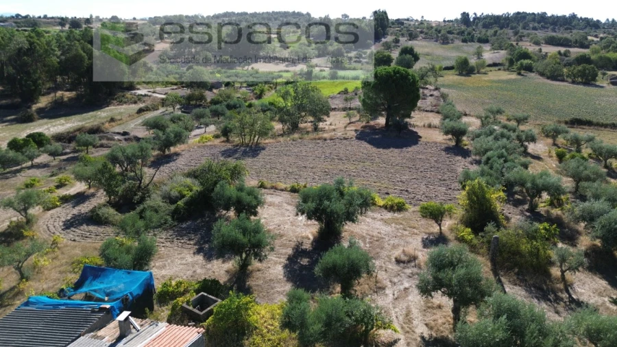 Terreno para Venda em Orca Foto 51