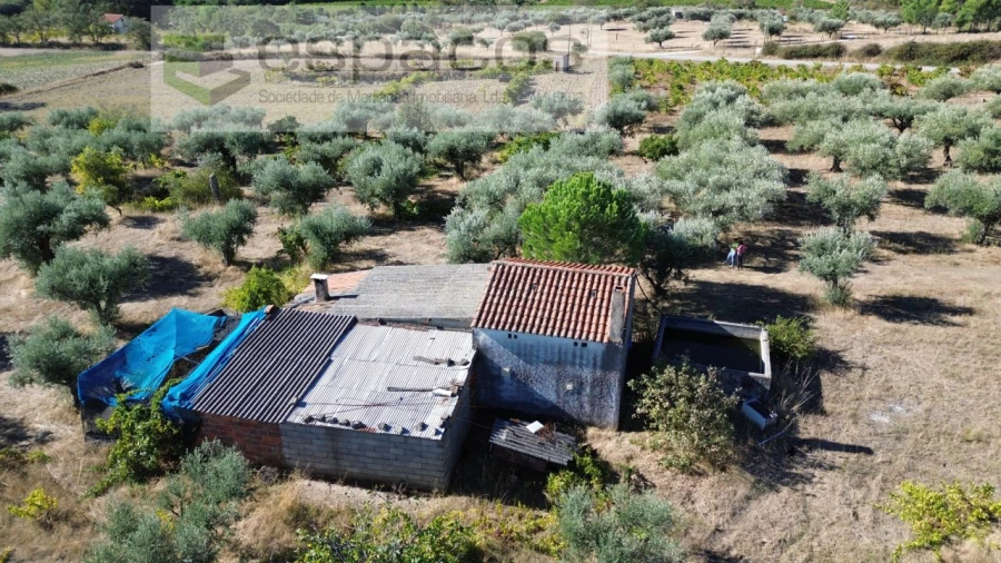 Terreno para Venda em Orca Foto 61