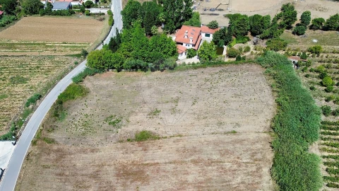 Terreno para Venda em Carvoeira e Carmões
